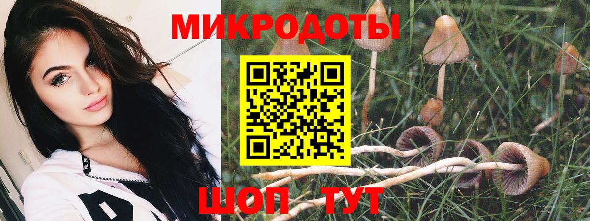 Великие Луки  Псилоцибиновые грибы Psilocybine cubensis  Галлюциногенные грибы прущие грибы  Вход с VPN 